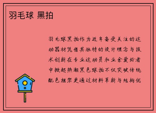 羽毛球 黑拍
