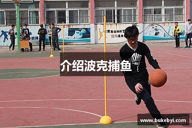 介绍波克捕鱼